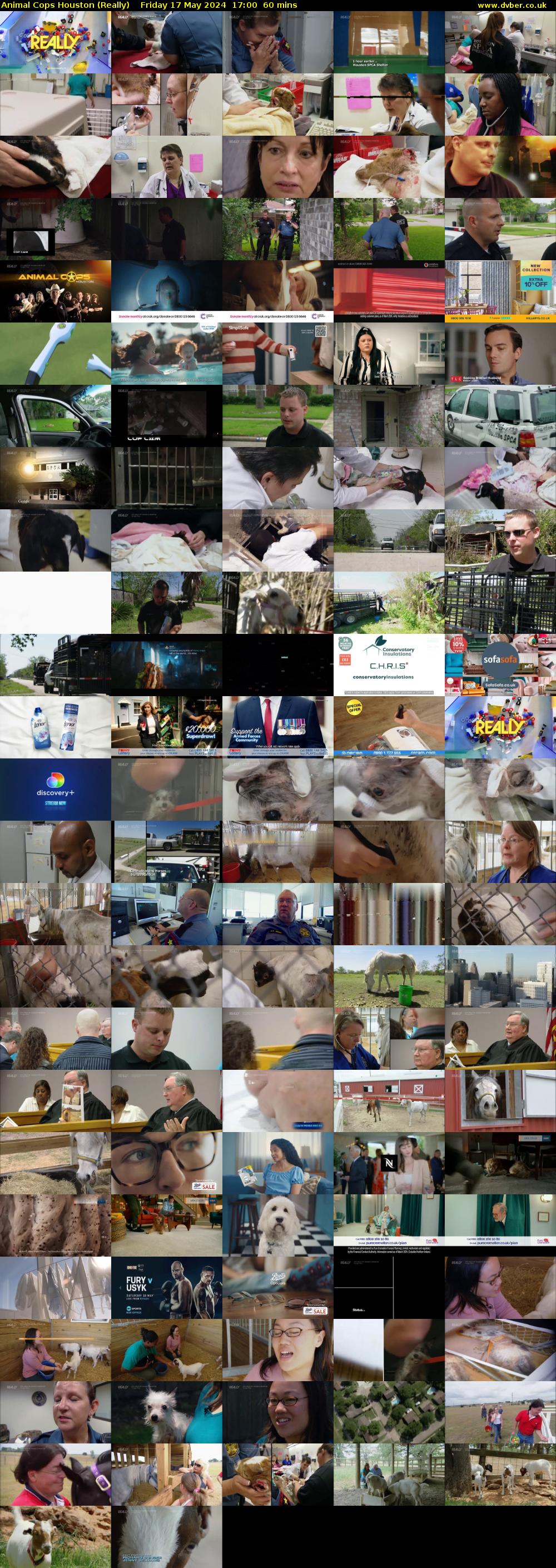 Animal Cops Houston (Really) Friday 17 May 2024 17:00 - 18:00