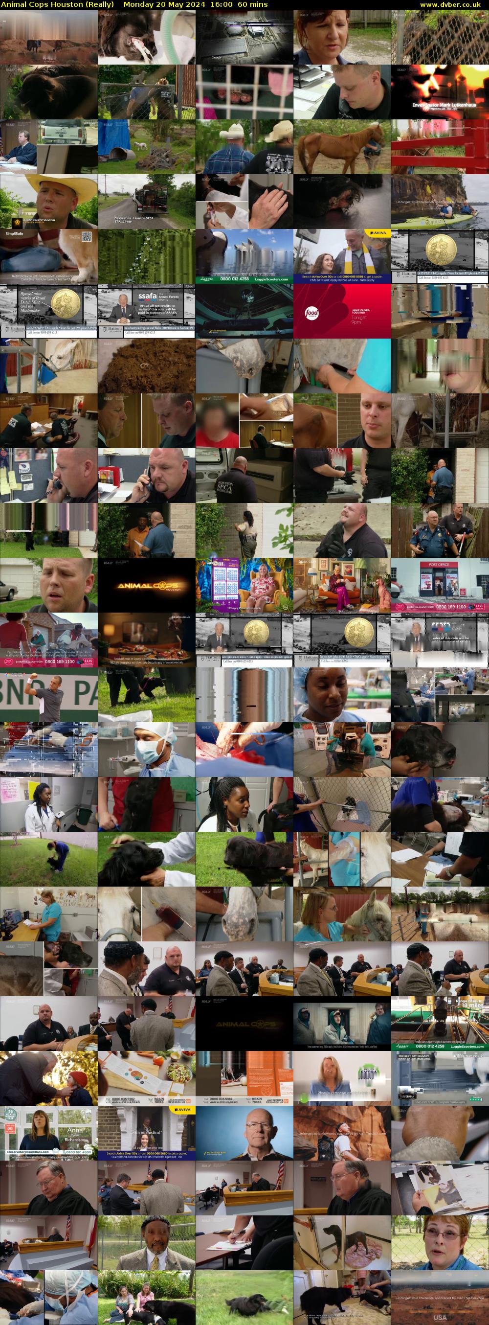 Animal Cops Houston (Really) Monday 20 May 2024 16:00 - 17:00