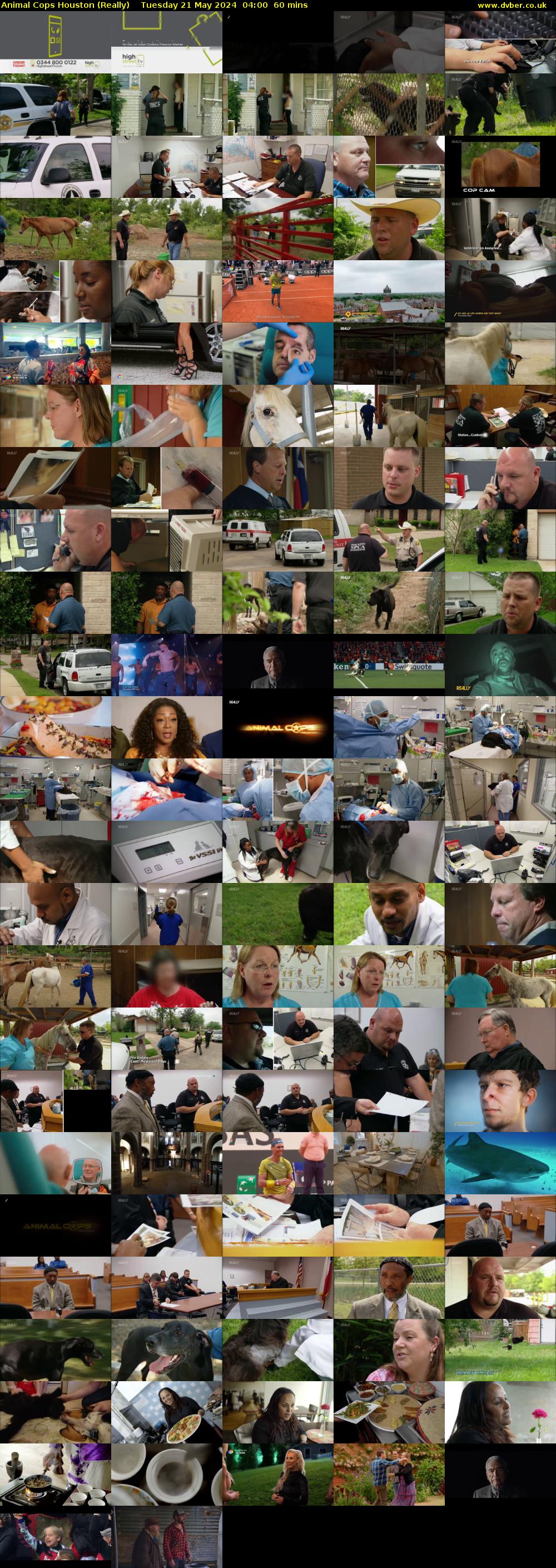 Animal Cops Houston (Really) Tuesday 21 May 2024 04:00 - 05:00