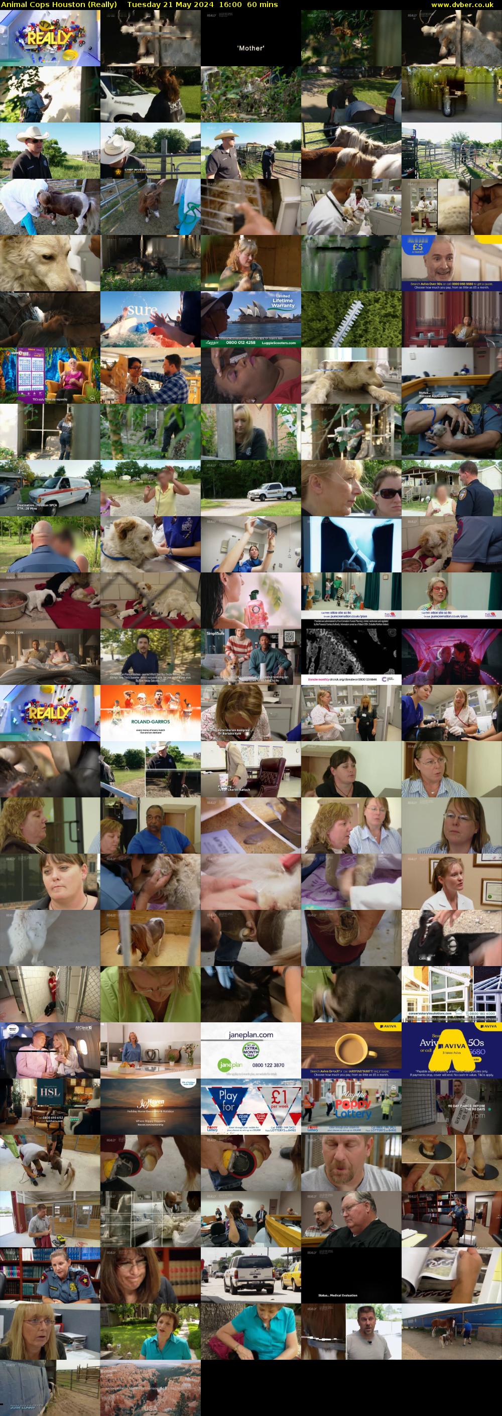 Animal Cops Houston (Really) Tuesday 21 May 2024 16:00 - 17:00