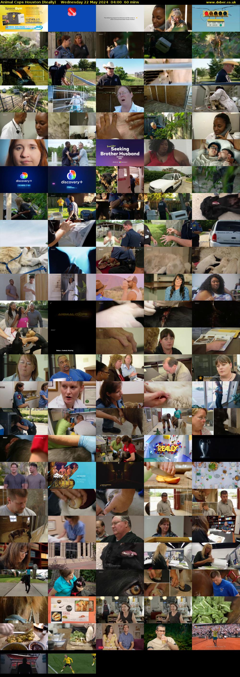 Animal Cops Houston (Really) Wednesday 22 May 2024 04:00 - 05:00