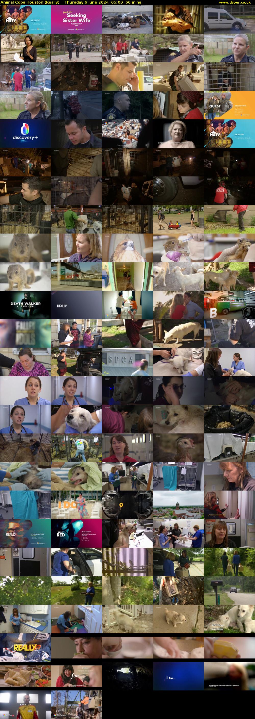 Animal Cops Houston (Really) Thursday 6 June 2024 05:00 - 06:00