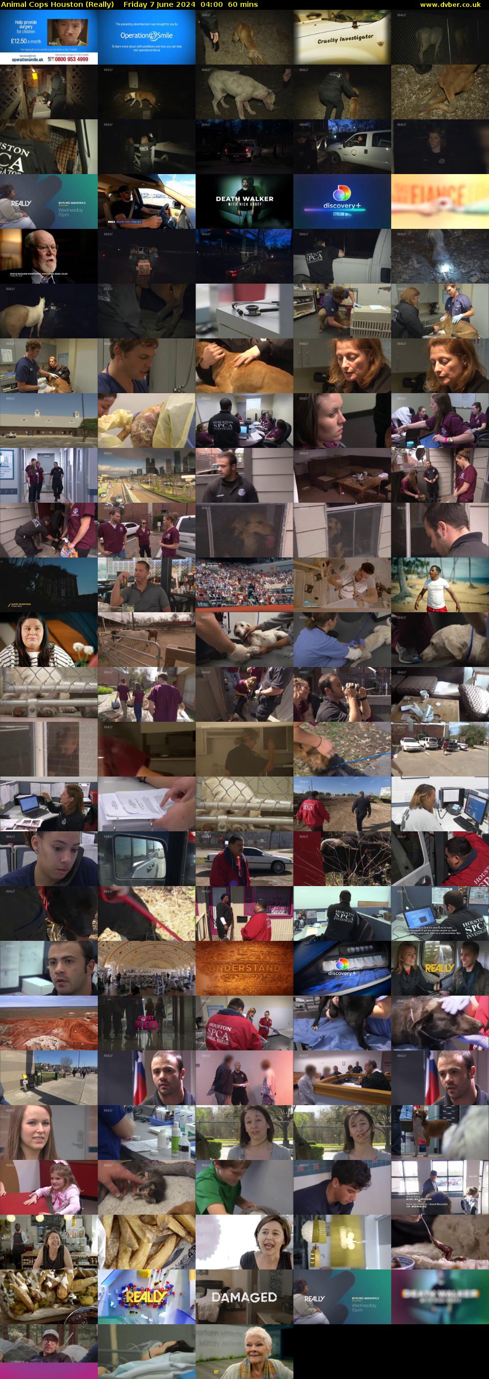 Animal Cops Houston (Really) Friday 7 June 2024 04:00 - 05:00
