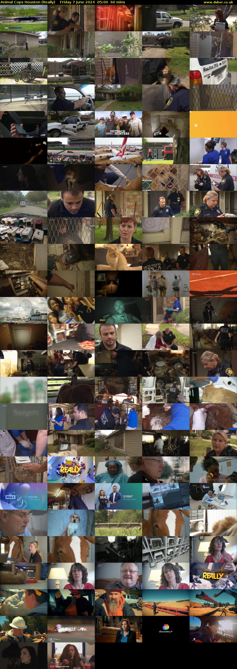 Animal Cops Houston (Really) Friday 7 June 2024 05:00 - 06:00