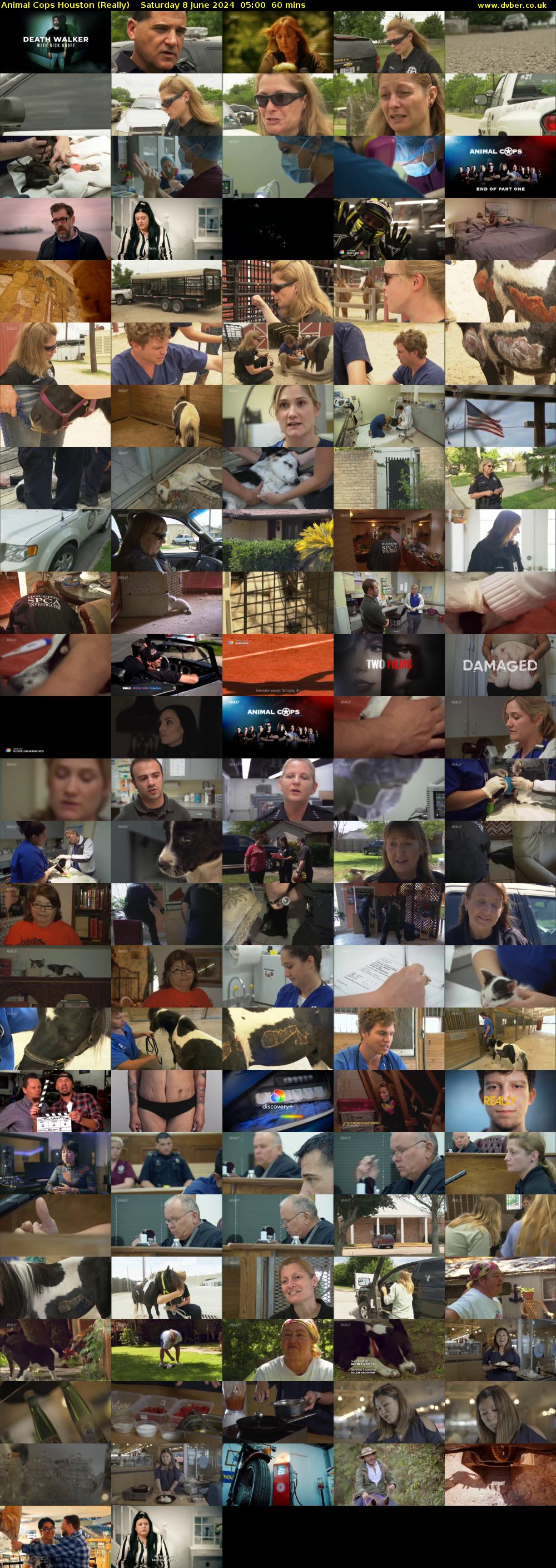 Animal Cops Houston (Really) Saturday 8 June 2024 05:00 - 06:00