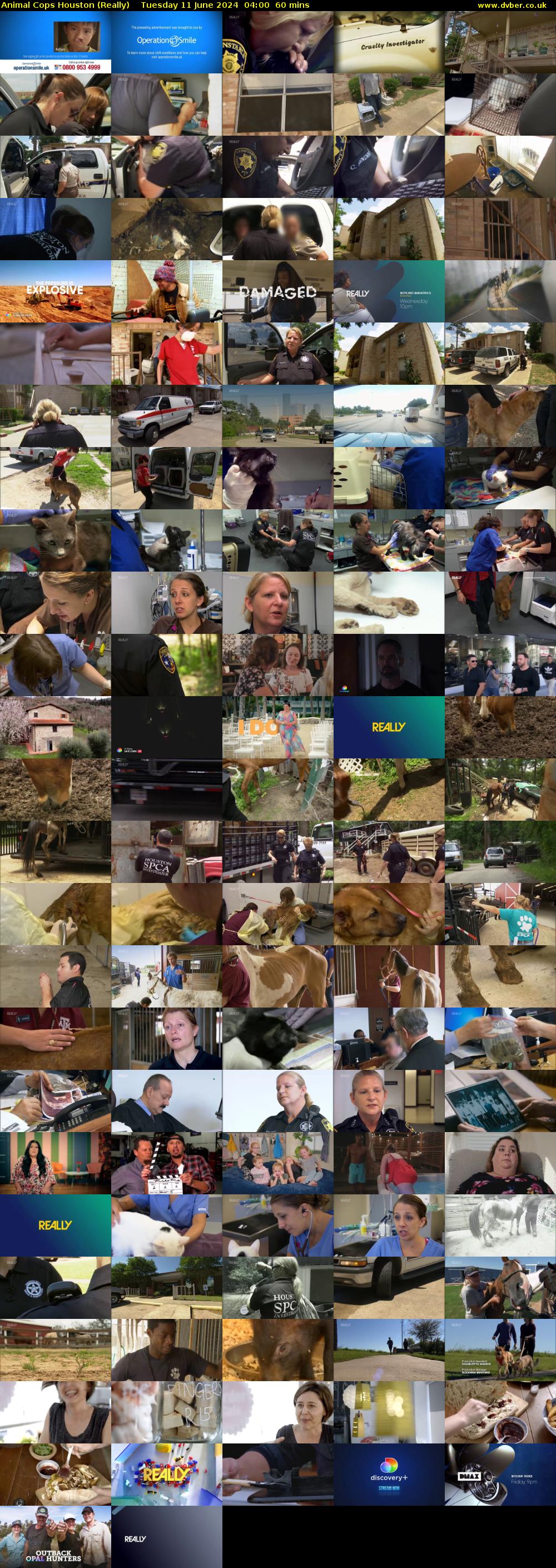 Animal Cops Houston (Really) Tuesday 11 June 2024 04:00 - 05:00
