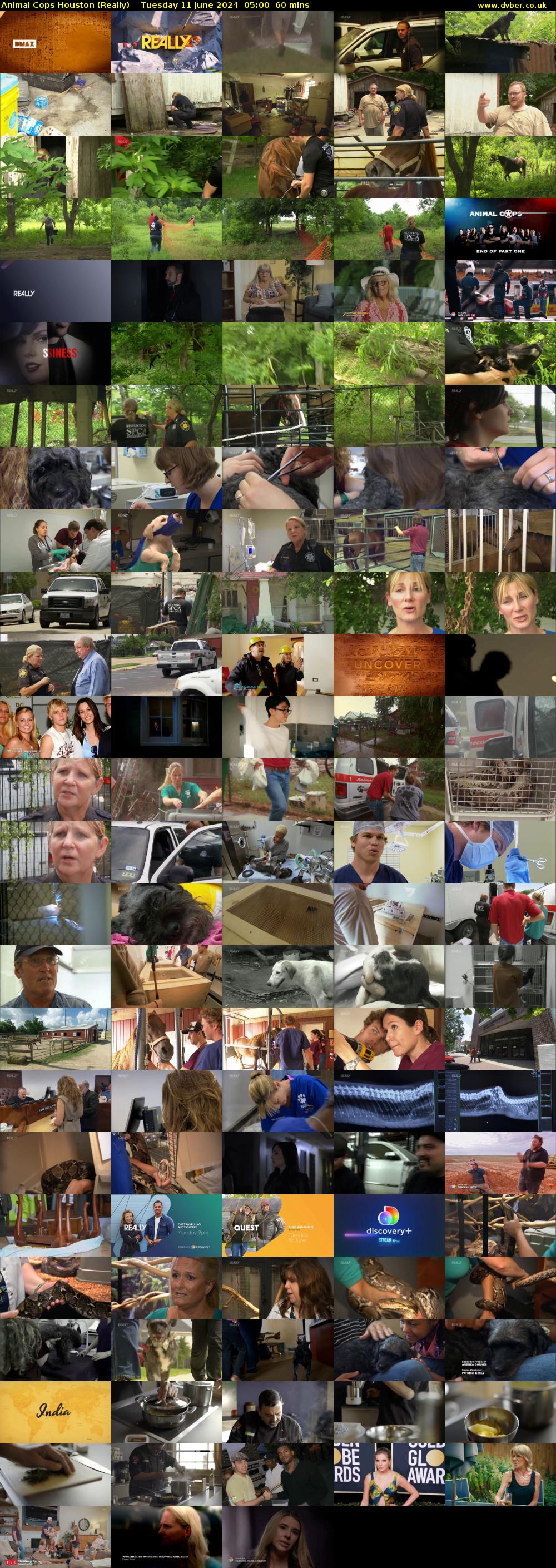 Animal Cops Houston (Really) Tuesday 11 June 2024 05:00 - 06:00