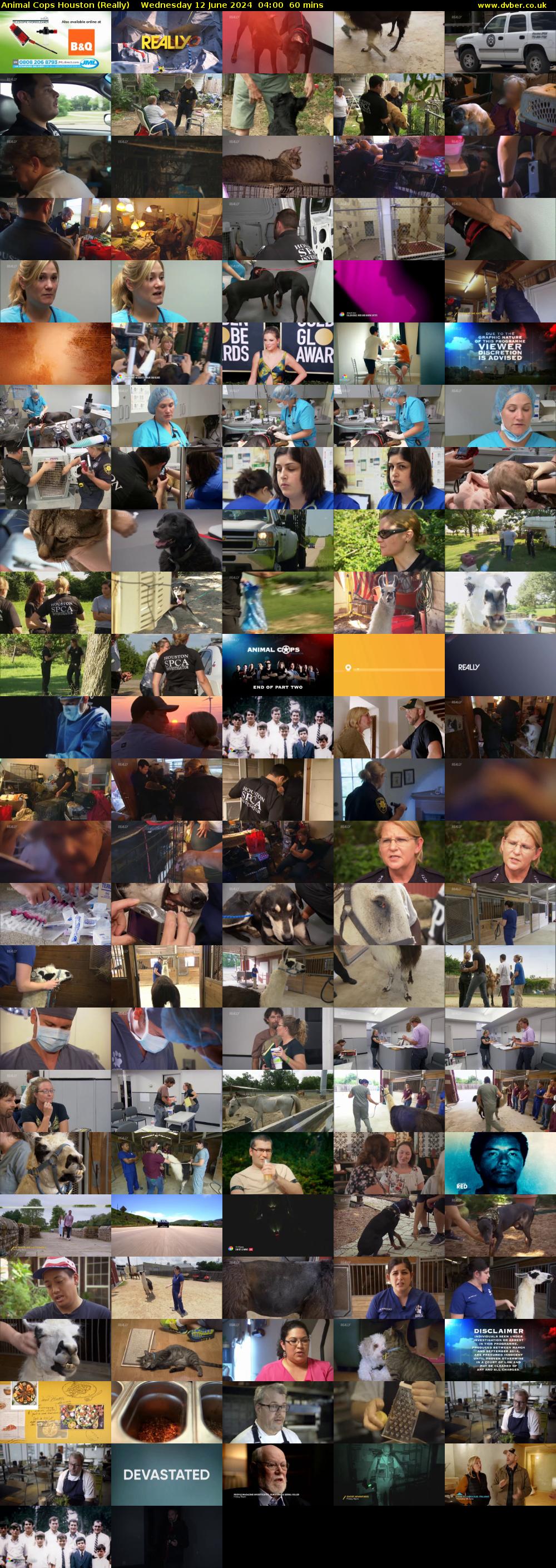 Animal Cops Houston (Really) Wednesday 12 June 2024 04:00 - 05:00