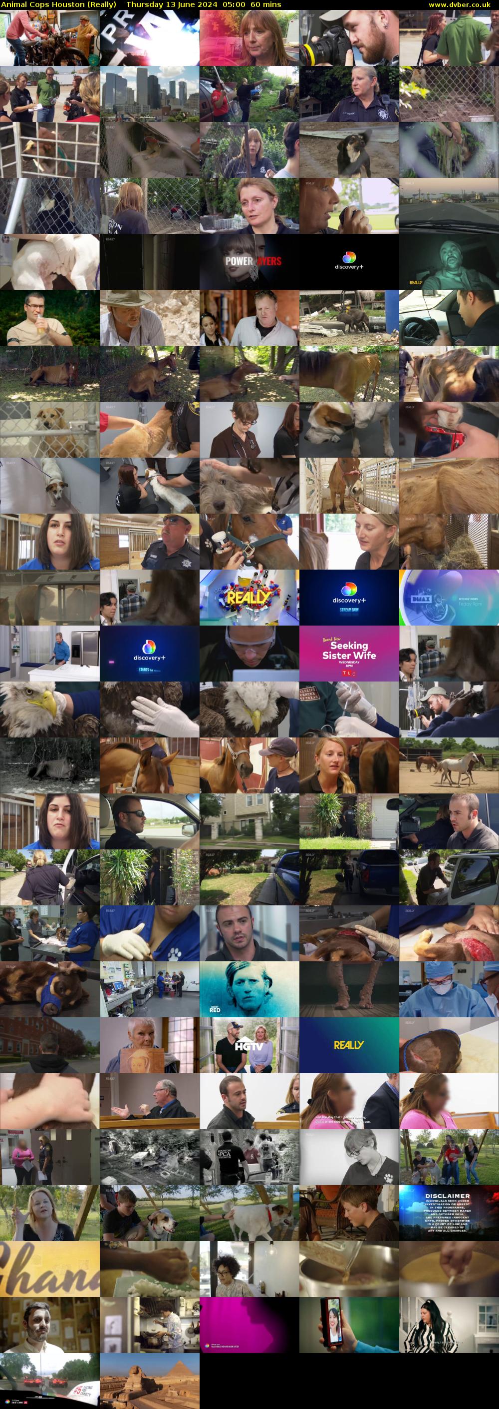 Animal Cops Houston (Really) Thursday 13 June 2024 05:00 - 06:00