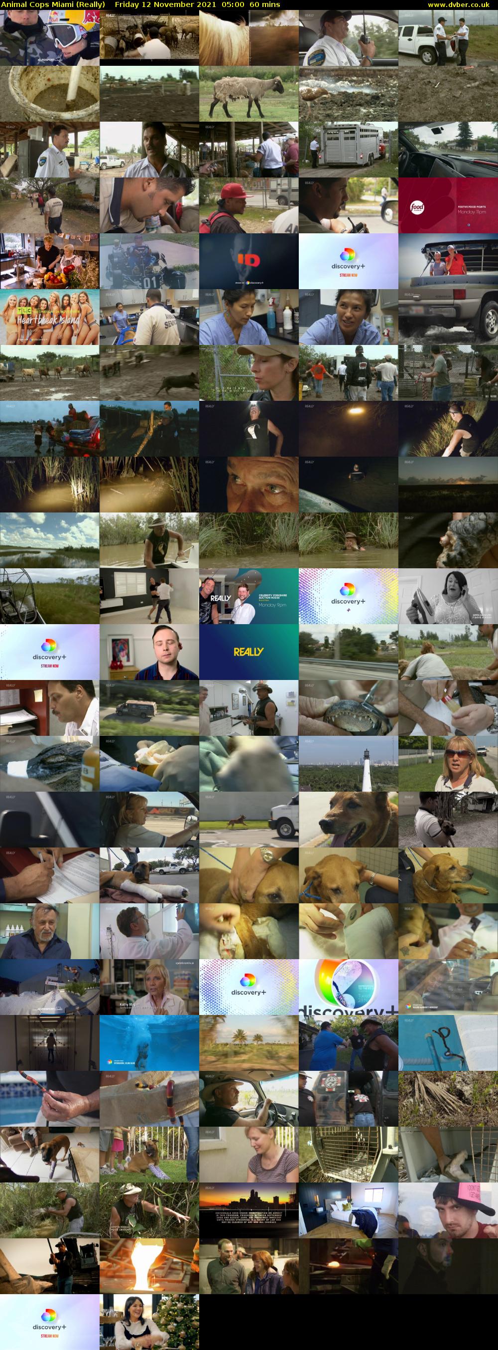 Animal Cops Miami (Really) Friday 12 November 2021 05:00 - 06:00