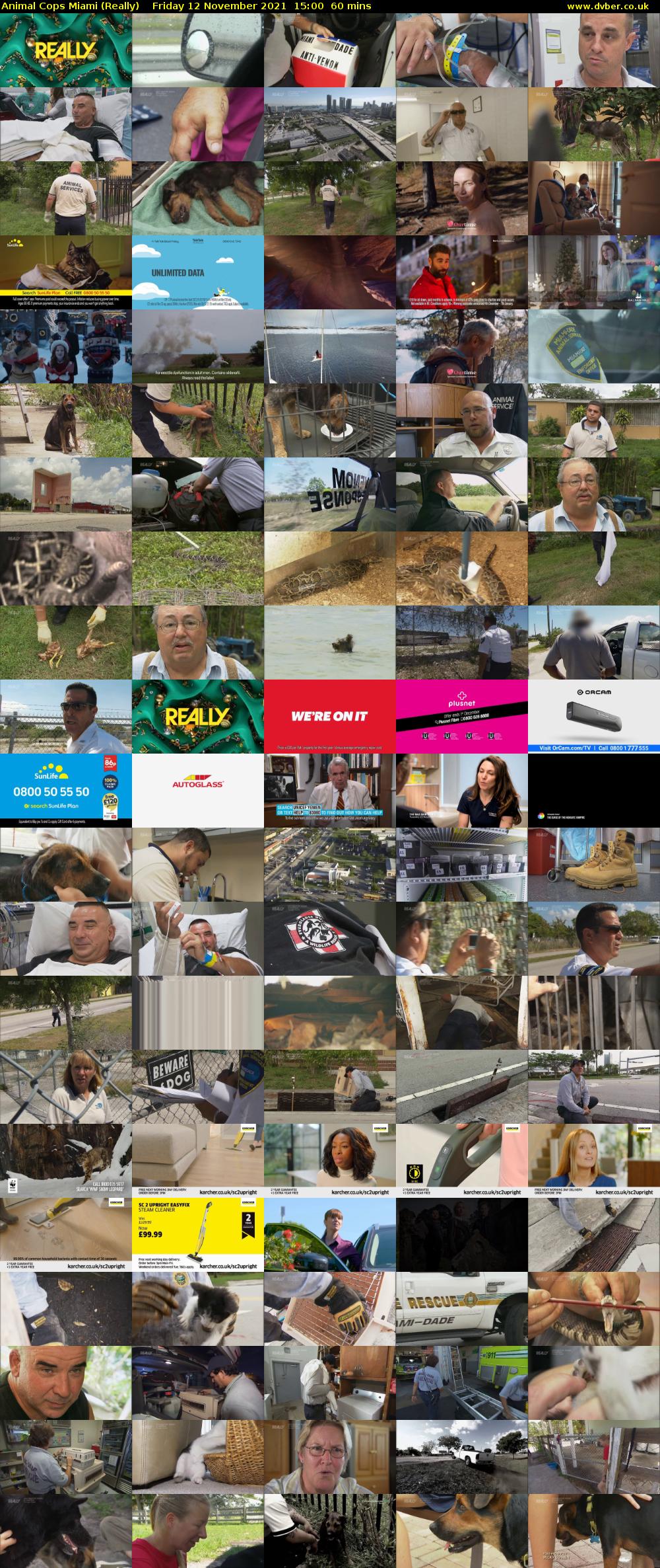 Animal Cops Miami (Really) Friday 12 November 2021 15:00 - 16:00