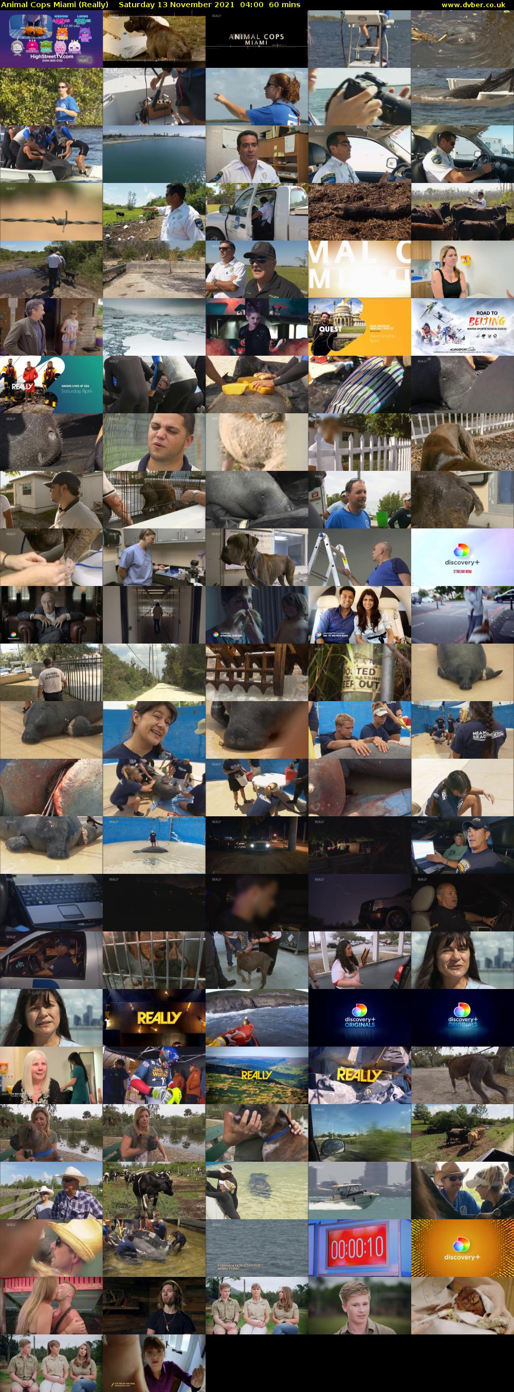 Animal Cops Miami (Really) Saturday 13 November 2021 04:00 - 05:00