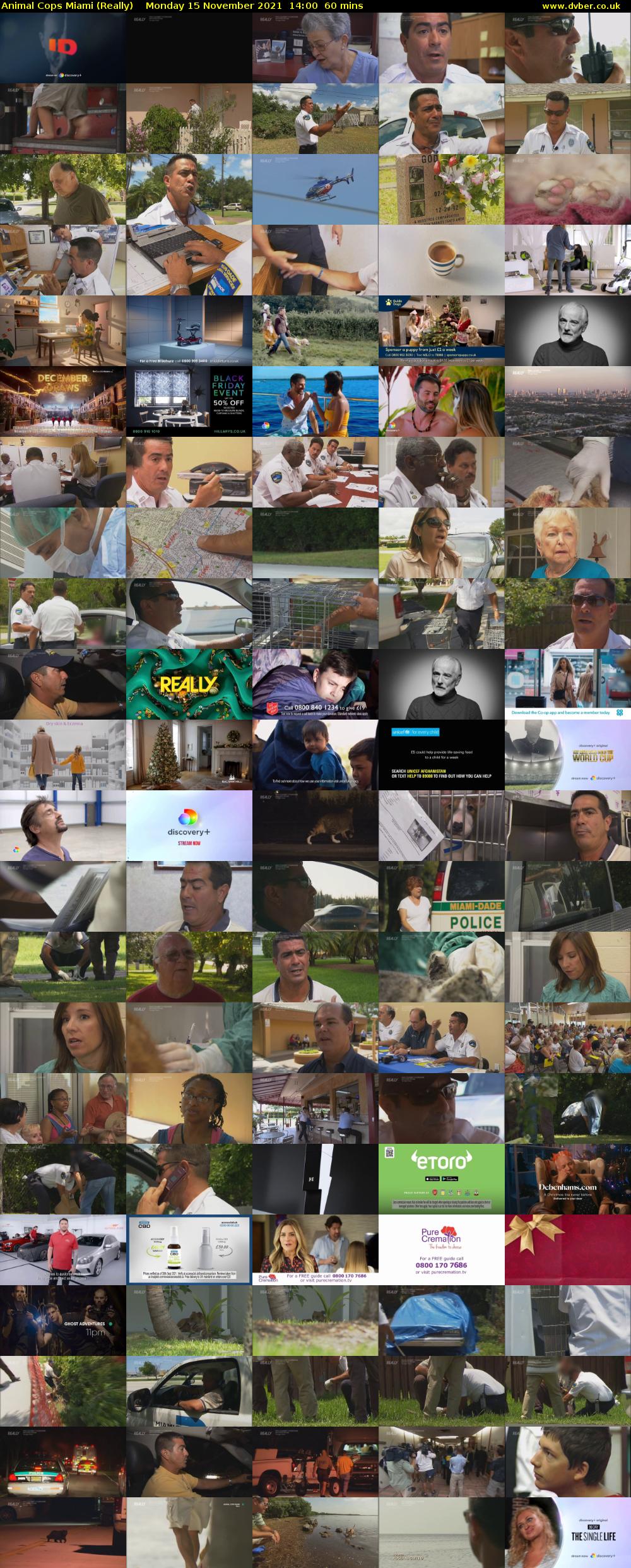 Animal Cops Miami (Really) Monday 15 November 2021 14:00 - 15:00