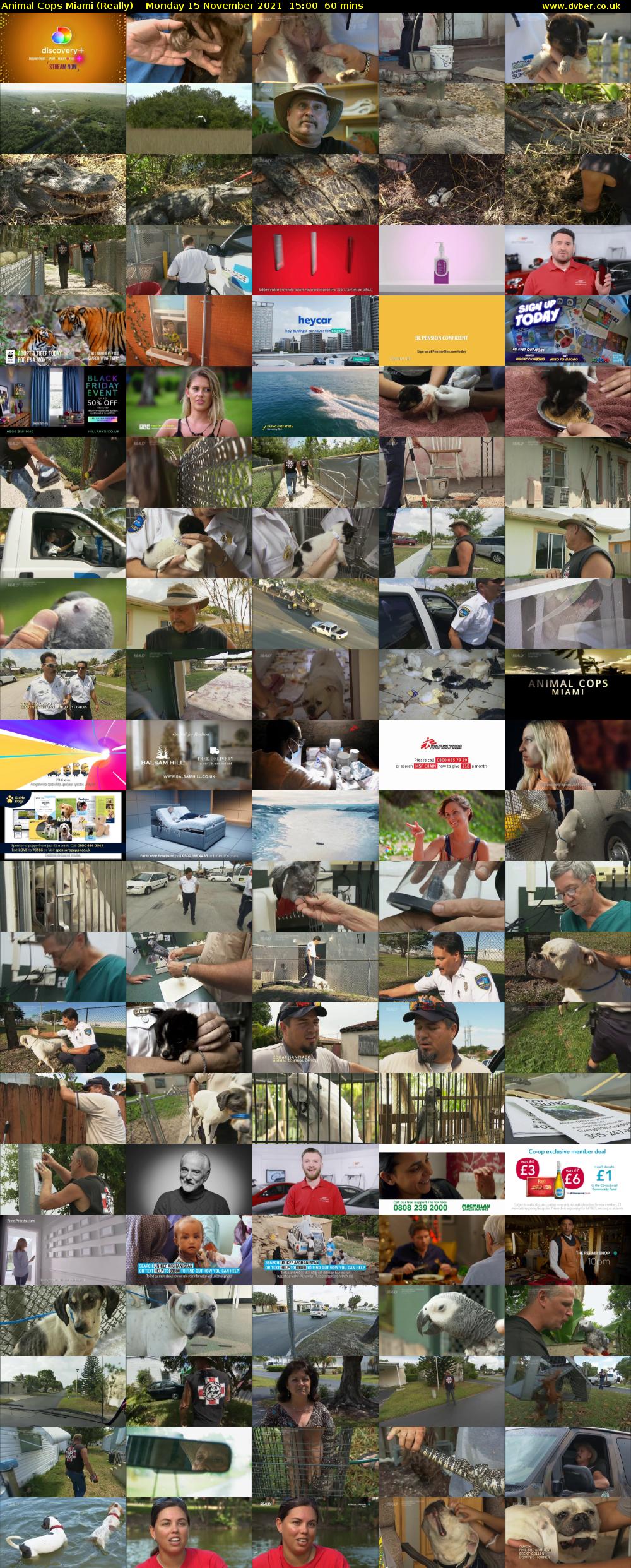 Animal Cops Miami (Really) Monday 15 November 2021 15:00 - 16:00
