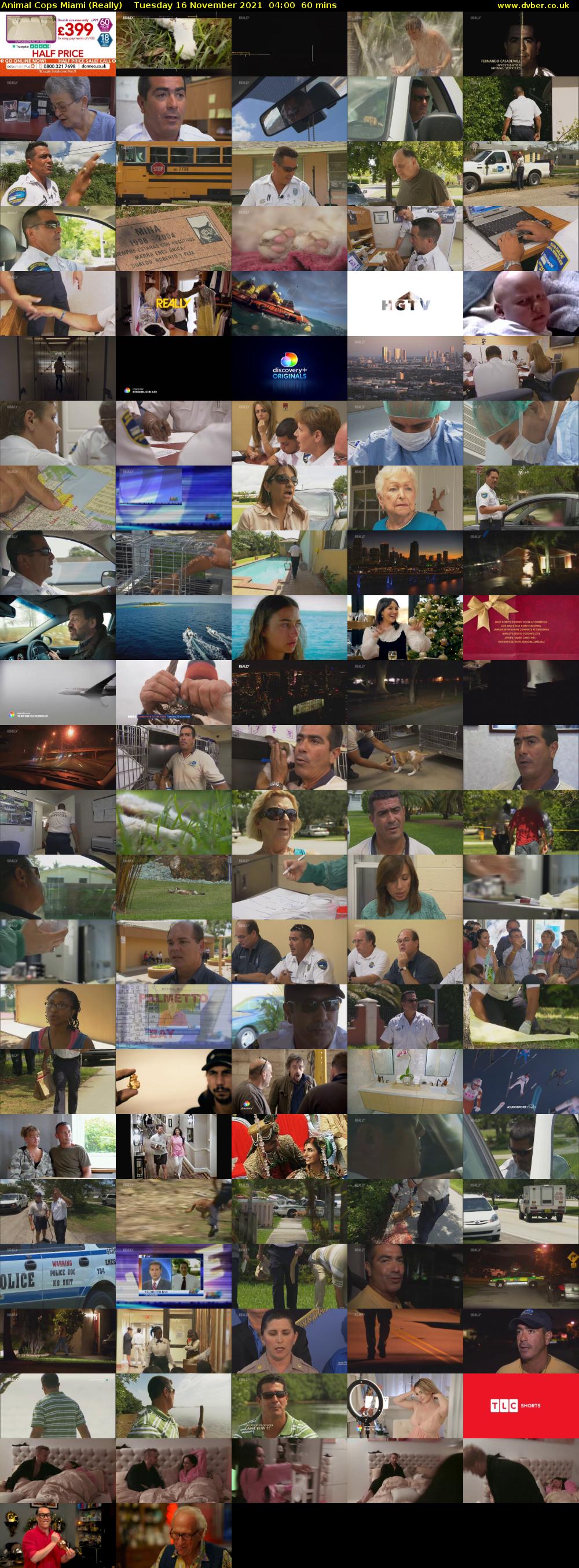 Animal Cops Miami (Really) Tuesday 16 November 2021 04:00 - 05:00