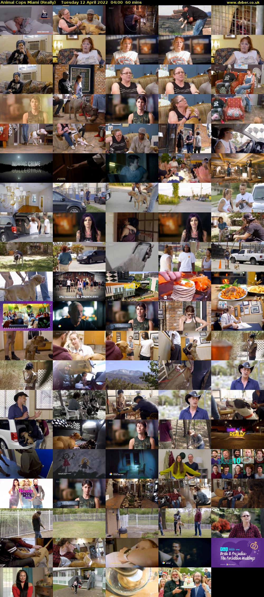 Animal Cops Miami (Really) Tuesday 12 April 2022 04:00 - 05:00