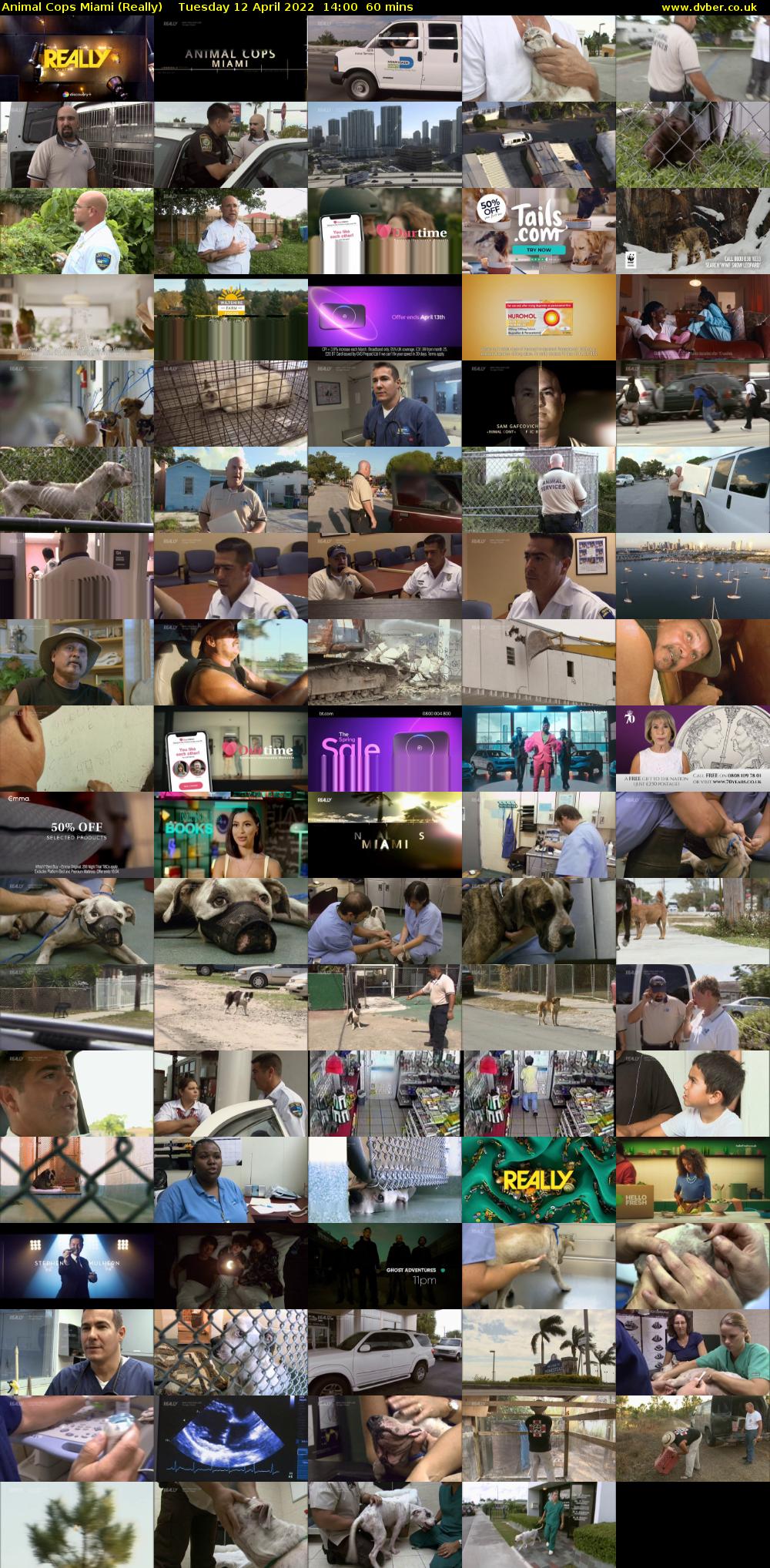 Animal Cops Miami (Really) Tuesday 12 April 2022 14:00 - 15:00