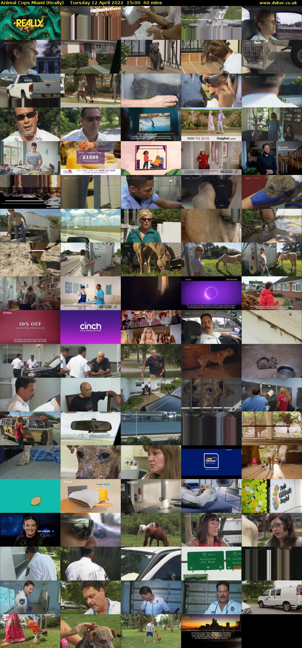 Animal Cops Miami (Really) Tuesday 12 April 2022 15:00 - 16:00