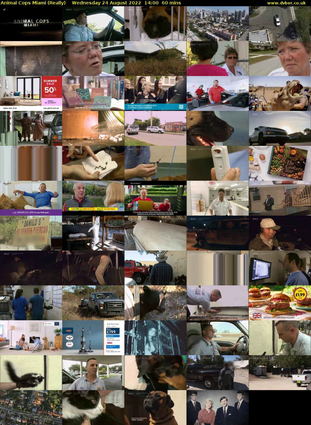 Animal Cops Miami (Really) Wednesday 24 August 2022 14:00 - 15:00