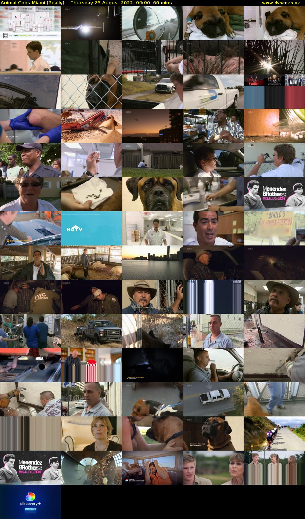 Animal Cops Miami (Really) Thursday 25 August 2022 04:00 - 05:00