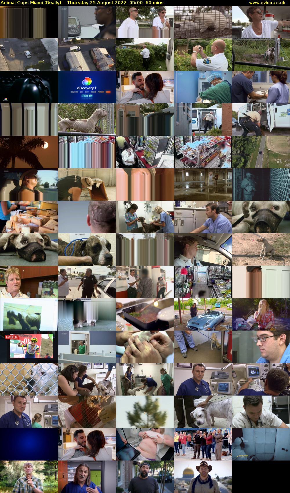 Animal Cops Miami (Really) Thursday 25 August 2022 05:00 - 06:00