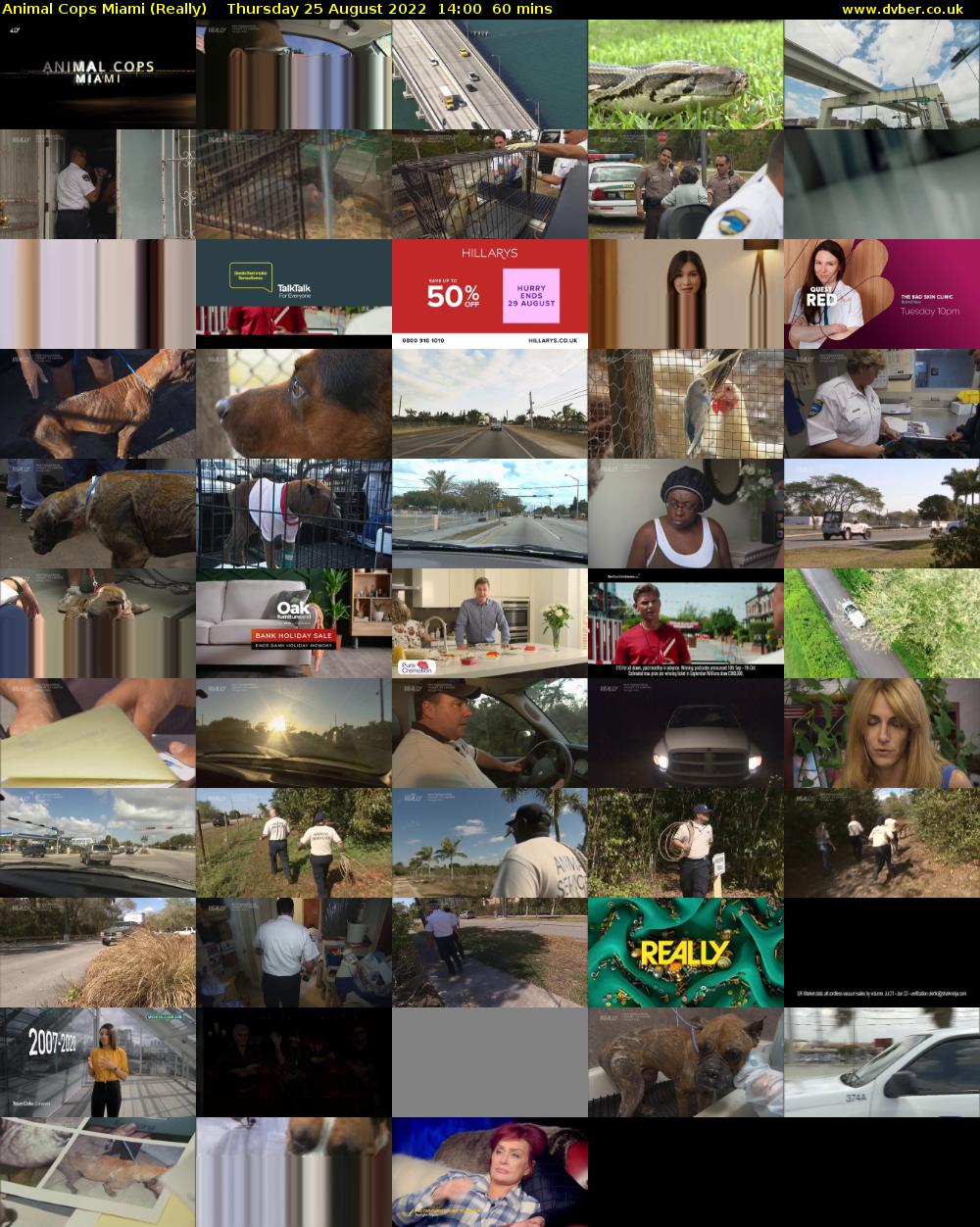 Animal Cops Miami (Really) Thursday 25 August 2022 14:00 - 15:00