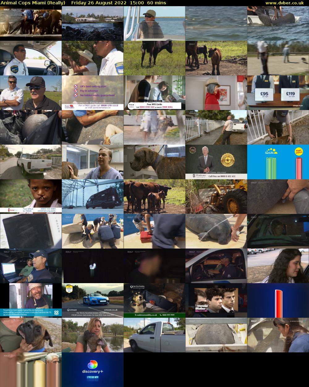 Animal Cops Miami (Really) Friday 26 August 2022 15:00 - 16:00