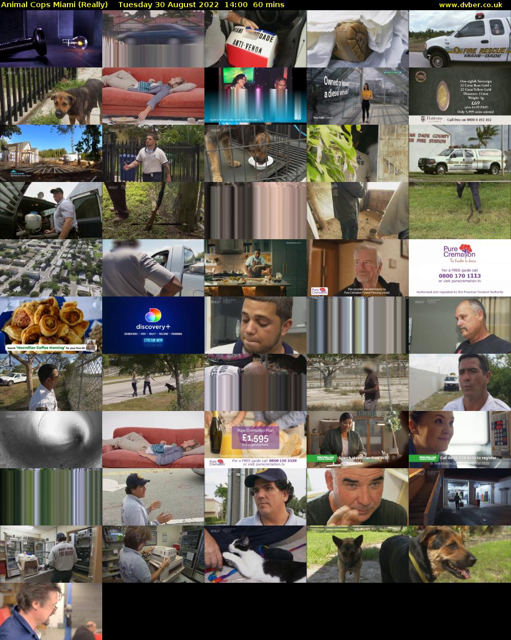 Animal Cops Miami (Really) Tuesday 30 August 2022 14:00 - 15:00