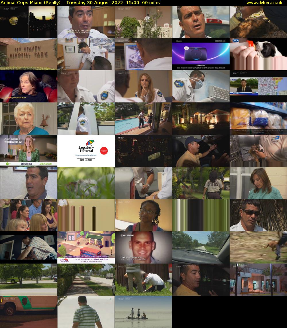 Animal Cops Miami (Really) Tuesday 30 August 2022 15:00 - 16:00