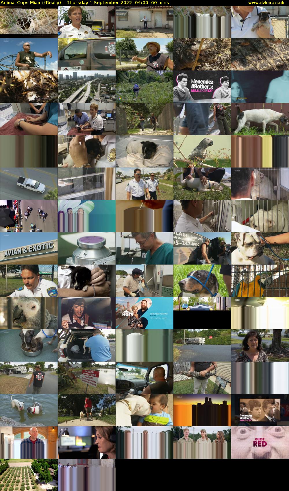 Animal Cops Miami (Really) Thursday 1 September 2022 04:00 - 05:00