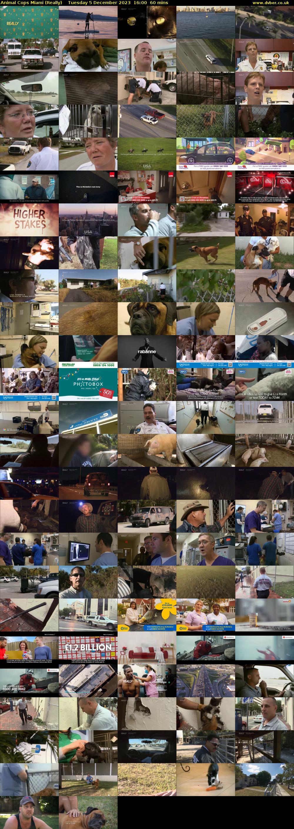 Animal Cops Miami (Really) Tuesday 5 December 2023 16:00 - 17:00