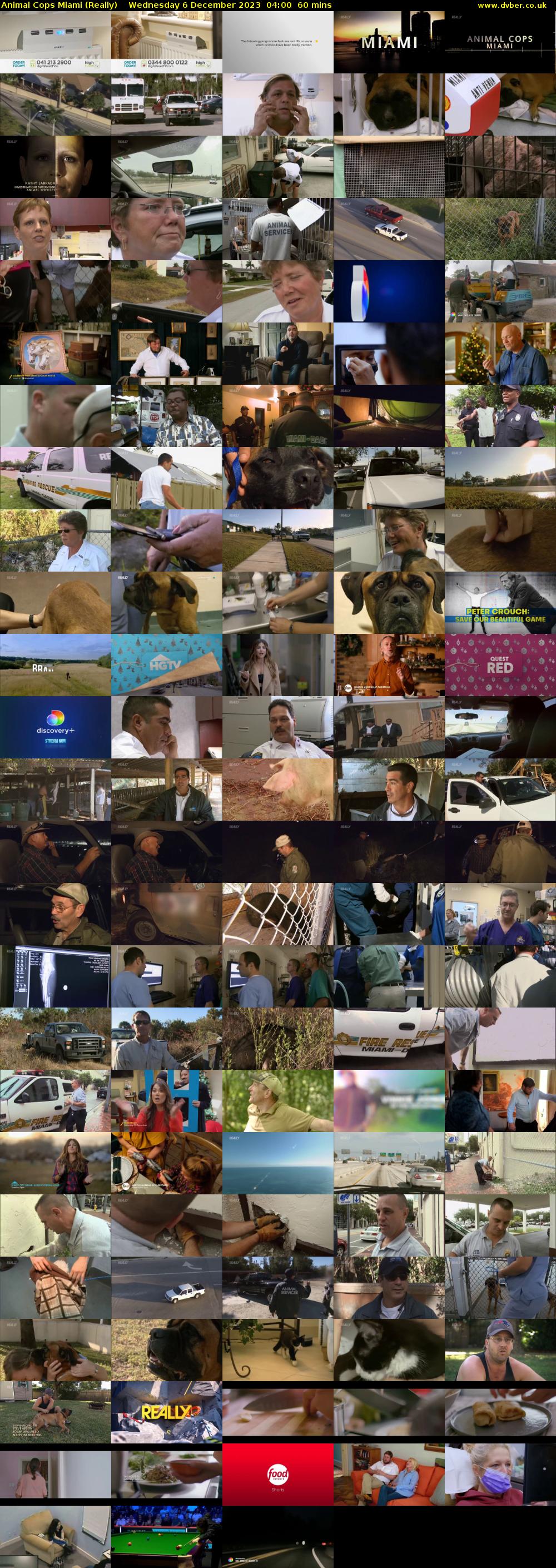 Animal Cops Miami (Really) Wednesday 6 December 2023 04:00 - 05:00
