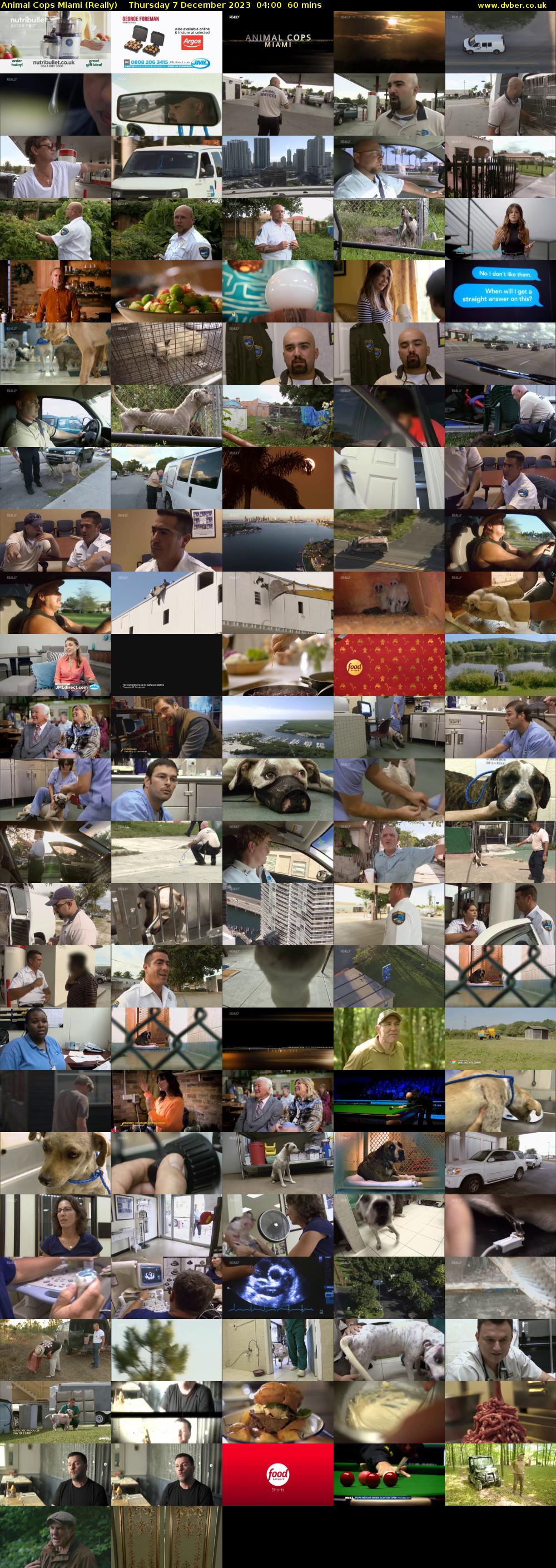 Animal Cops Miami (Really) Thursday 7 December 2023 04:00 - 05:00