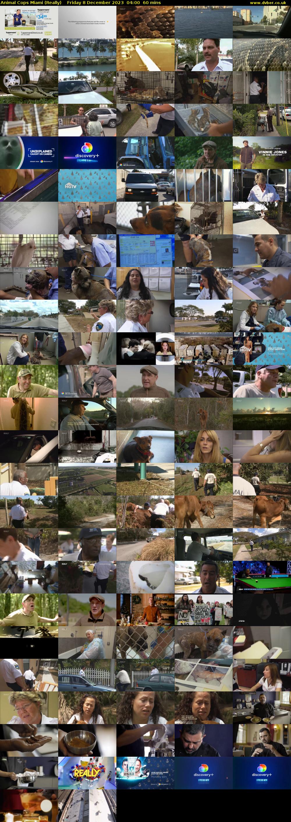 Animal Cops Miami (Really) Friday 8 December 2023 04:00 - 05:00