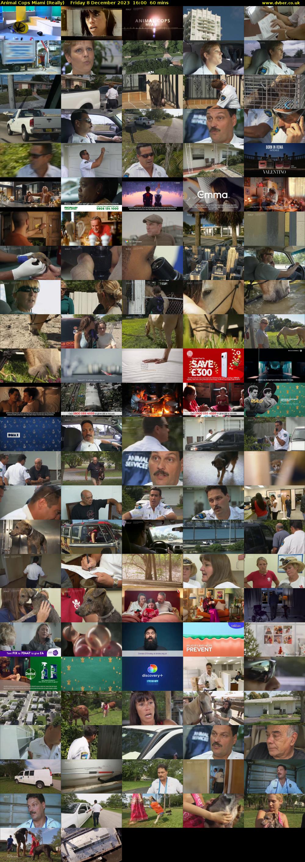 Animal Cops Miami (Really) Friday 8 December 2023 16:00 - 17:00