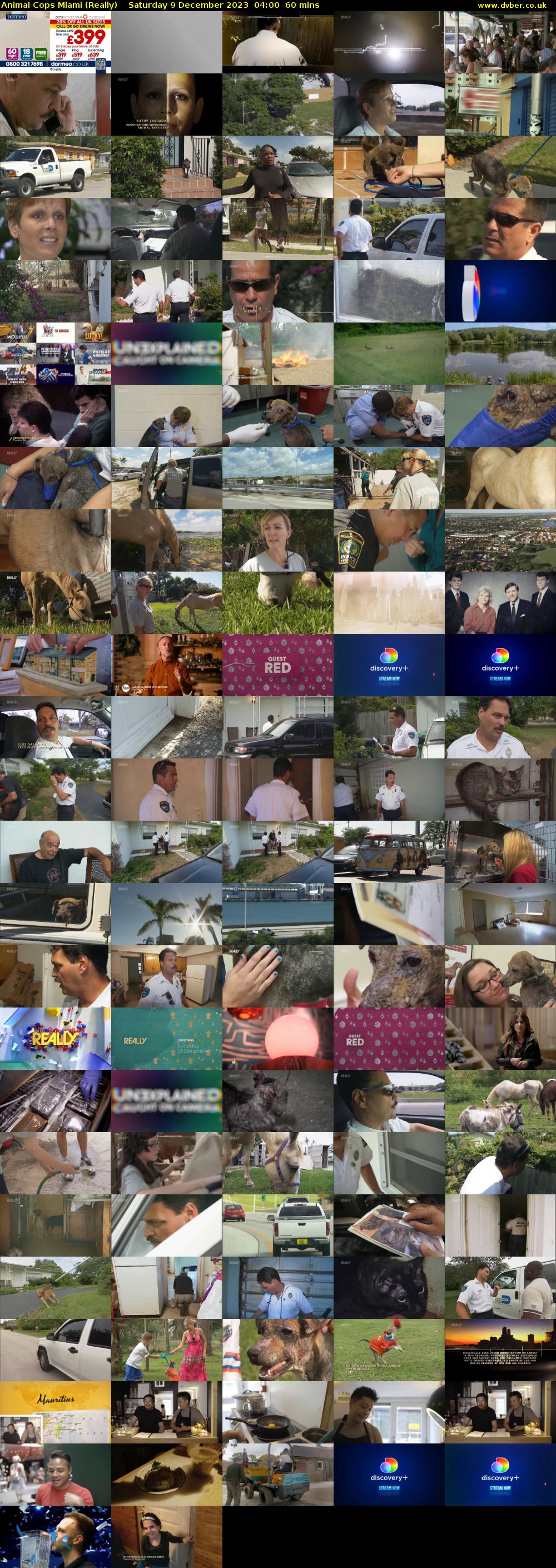 Animal Cops Miami (Really) Saturday 9 December 2023 04:00 - 05:00