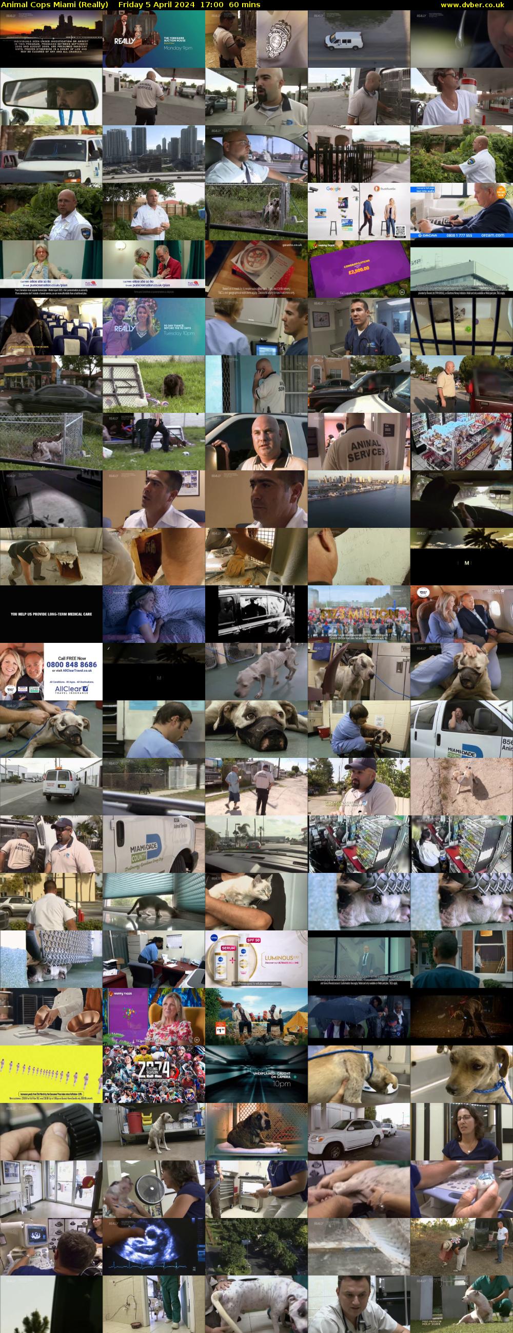 Animal Cops Miami (Really) Friday 5 April 2024 17:00 - 18:00