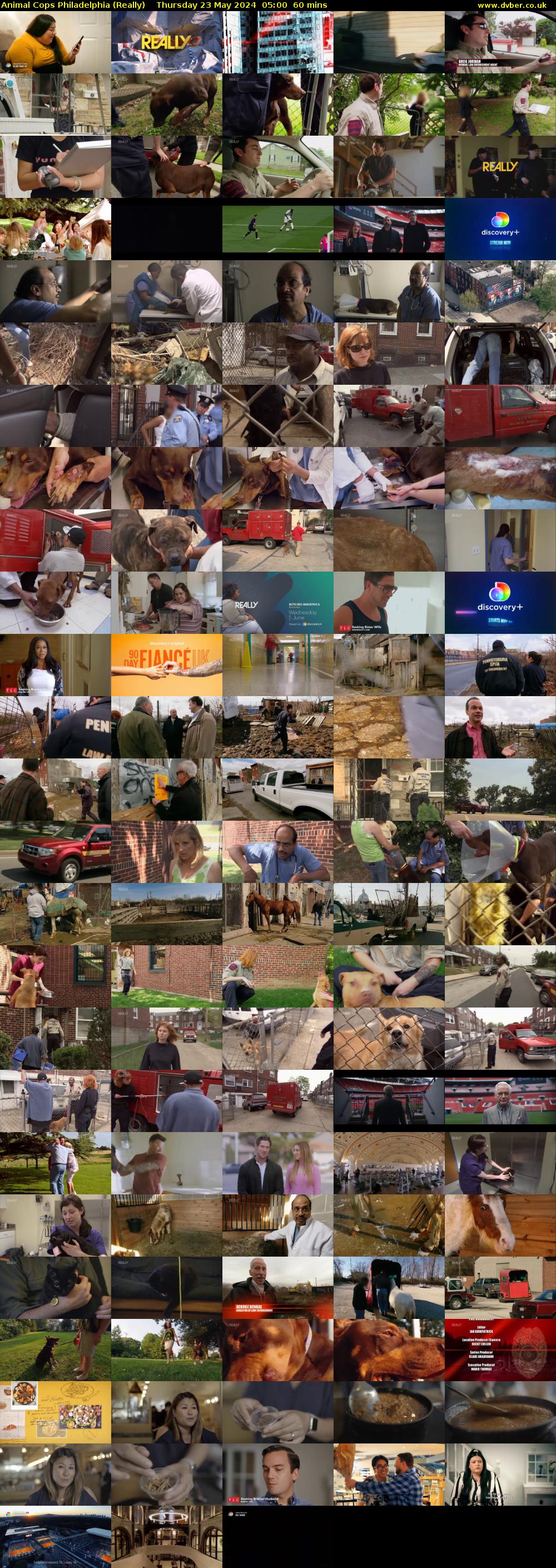 Animal Cops Philadelphia (Really) Thursday 23 May 2024 05:00 - 06:00