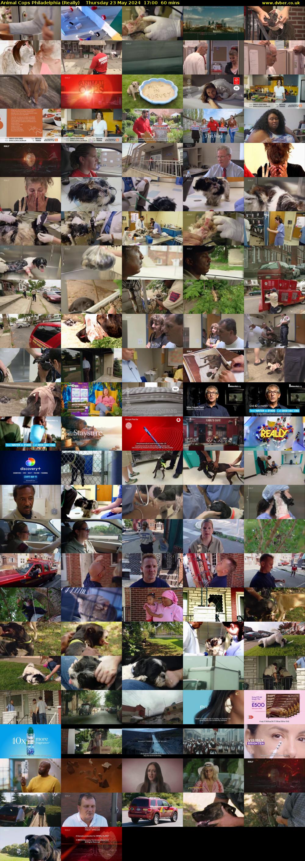 Animal Cops Philadelphia (Really) Thursday 23 May 2024 17:00 - 18:00