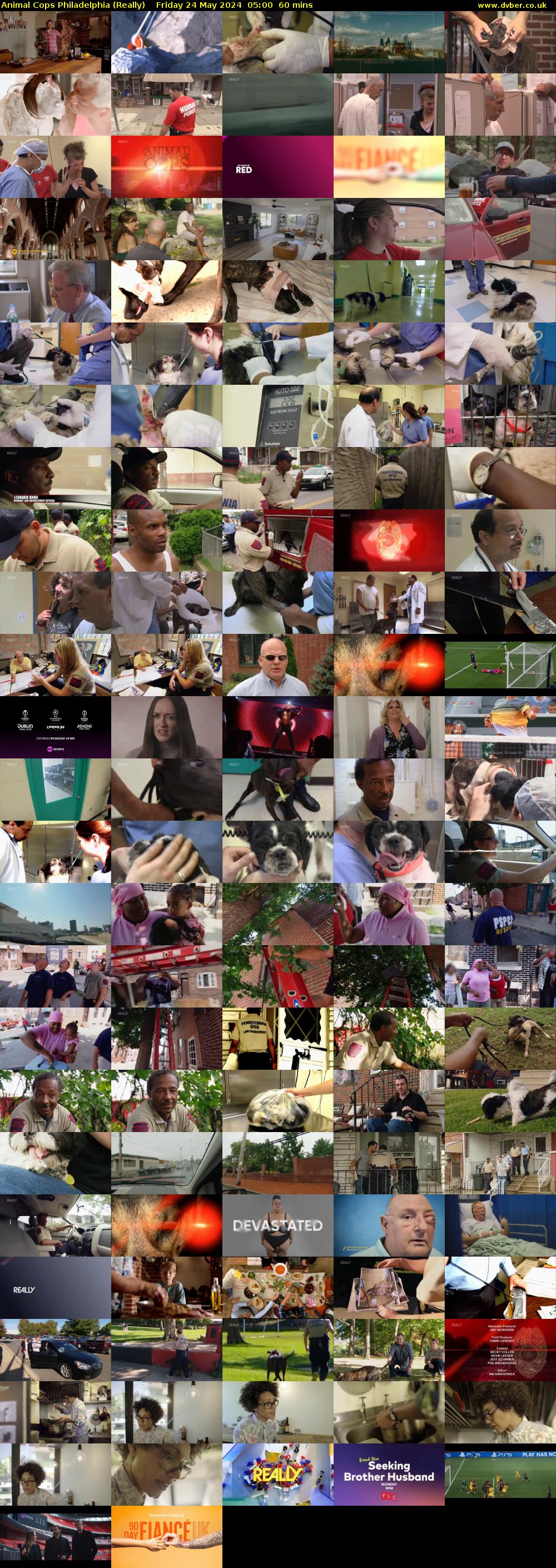 Animal Cops Philadelphia (Really) Friday 24 May 2024 05:00 - 06:00