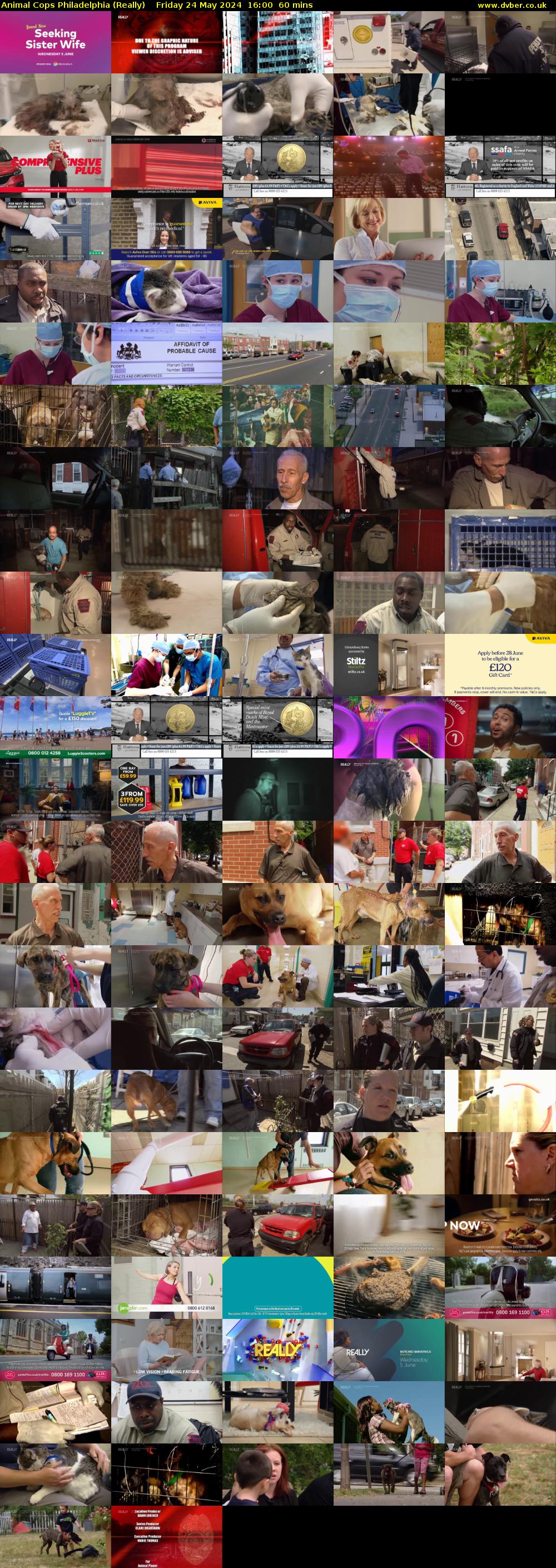 Animal Cops Philadelphia (Really) Friday 24 May 2024 16:00 - 17:00
