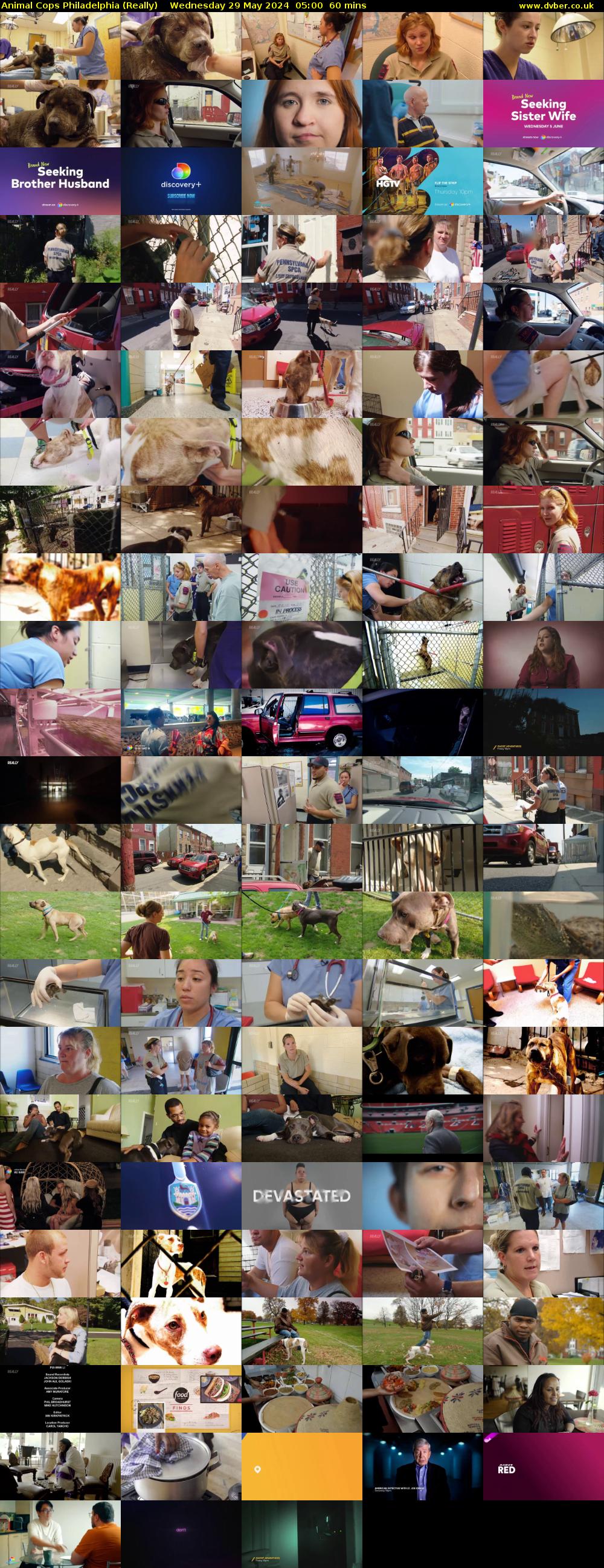 Animal Cops Philadelphia (Really) Wednesday 29 May 2024 05:00 - 06:00