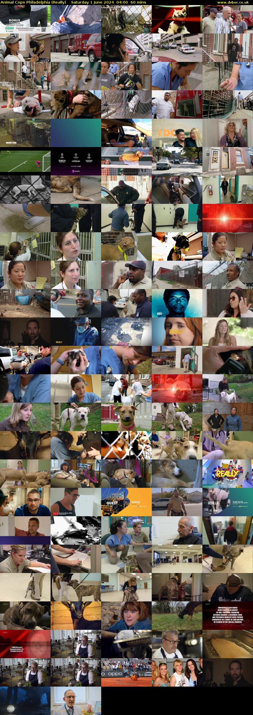 Animal Cops Philadelphia (Really) Saturday 1 June 2024 04:00 - 05:00