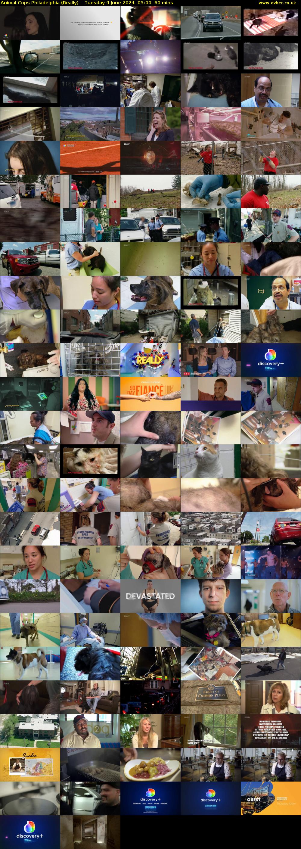 Animal Cops Philadelphia (Really) Tuesday 4 June 2024 05:00 - 06:00