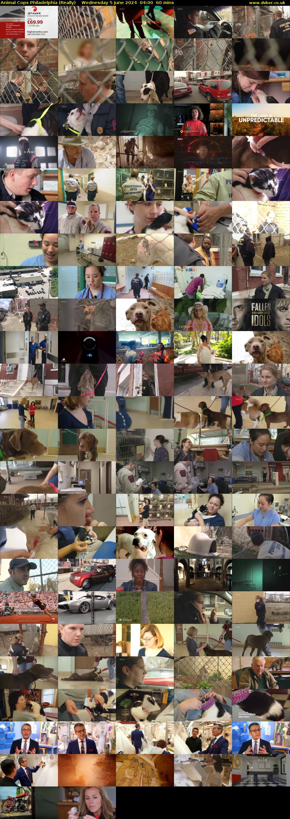 Animal Cops Philadelphia (Really) Wednesday 5 June 2024 04:00 - 05:00