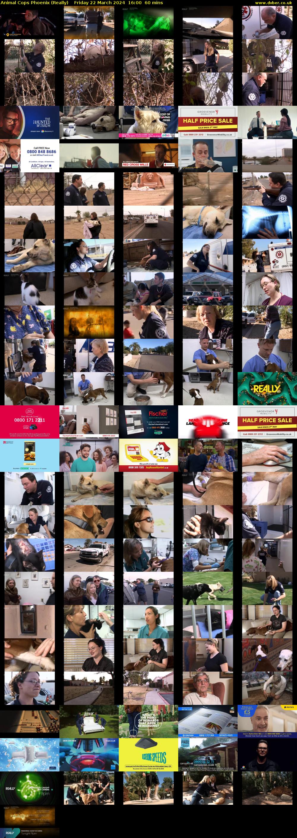 Animal Cops Phoenix (Really) Friday 22 March 2024 16:00 - 17:00