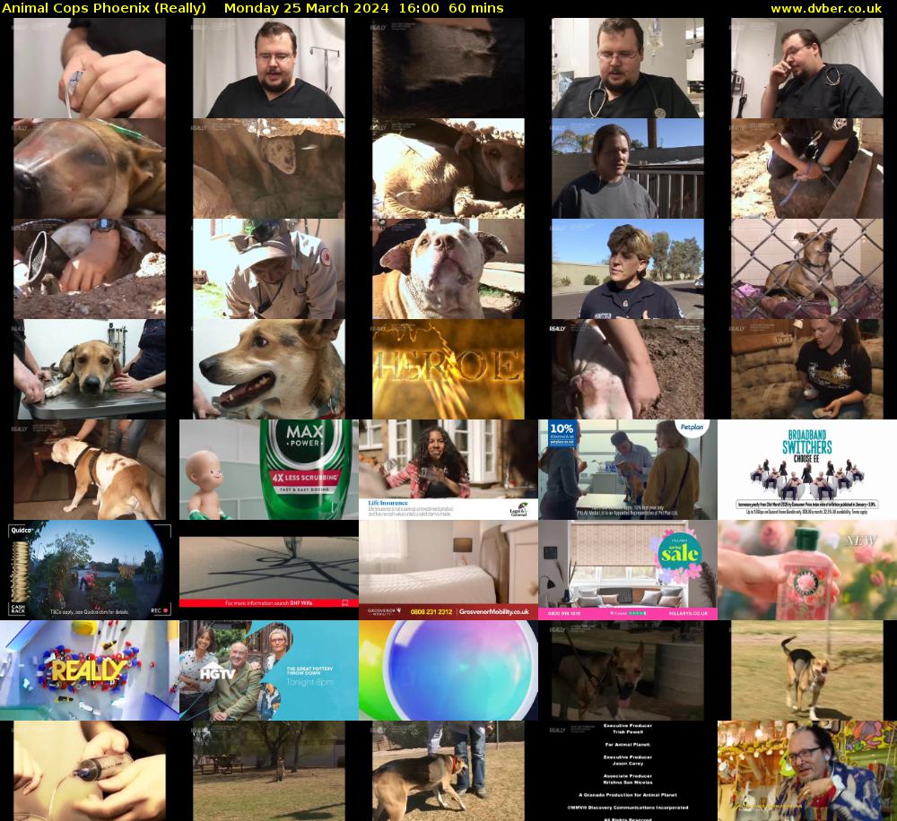 Animal Cops Phoenix (Really) Monday 25 March 2024 16:00 - 17:00