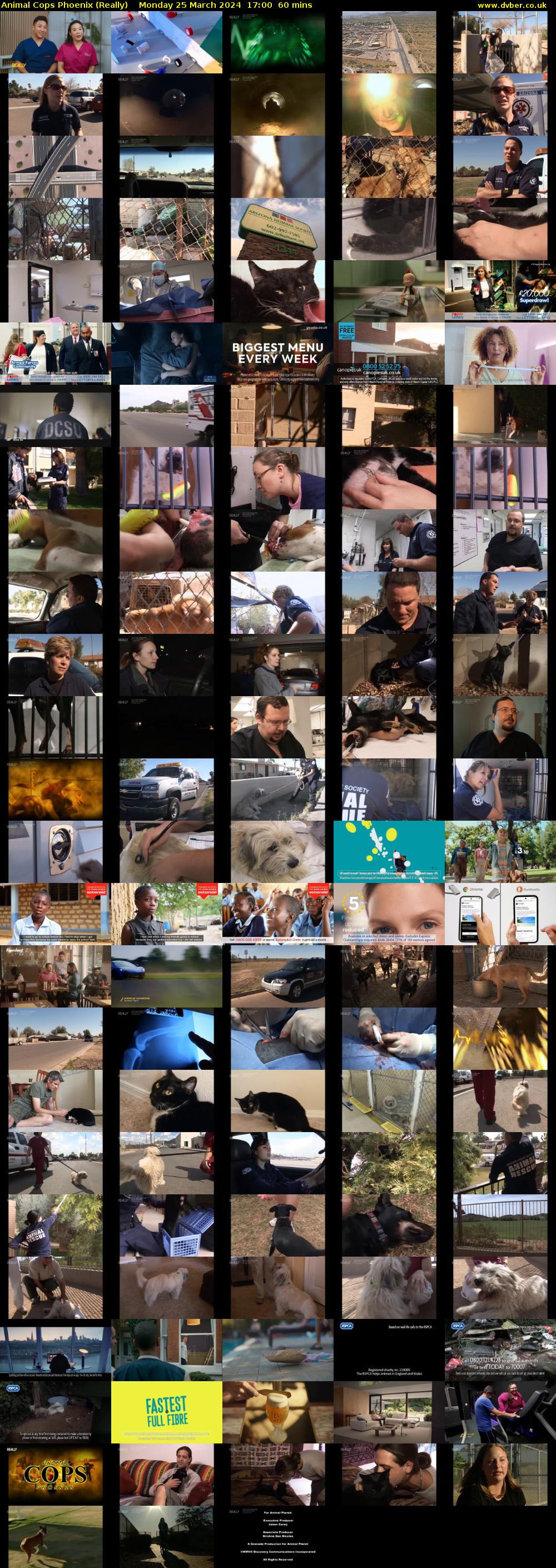 Animal Cops Phoenix (Really) Monday 25 March 2024 17:00 - 18:00