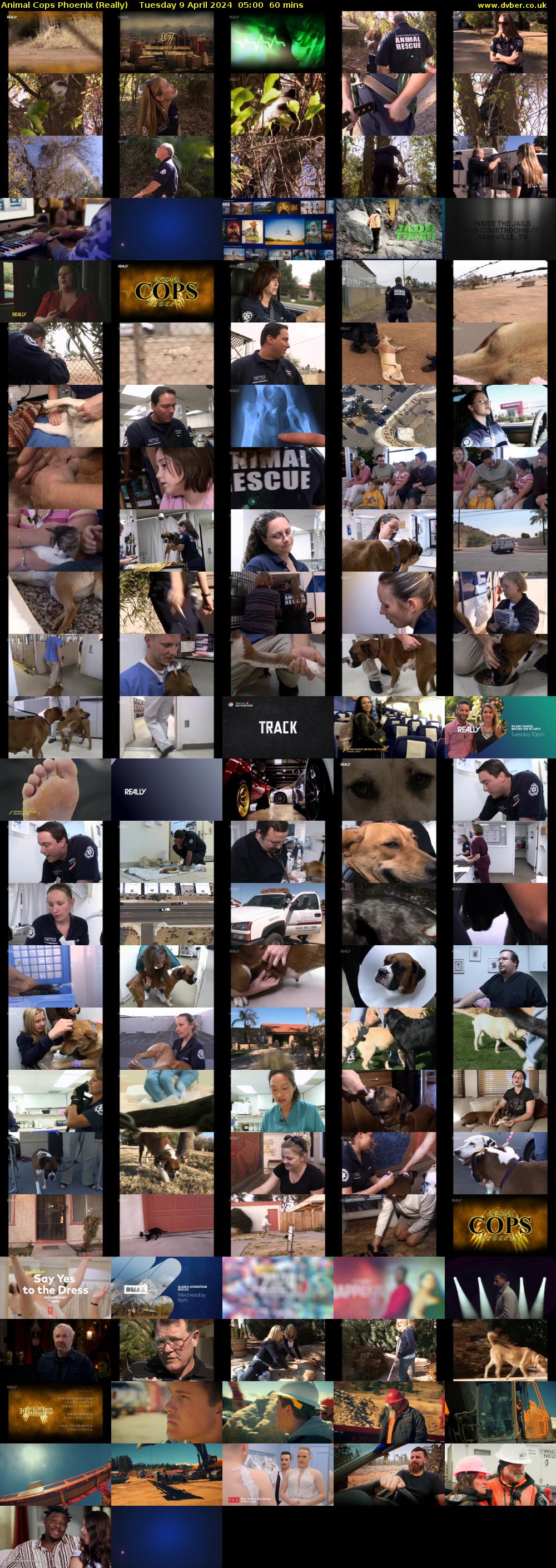 Animal Cops Phoenix (Really) Tuesday 9 April 2024 05:00 - 06:00