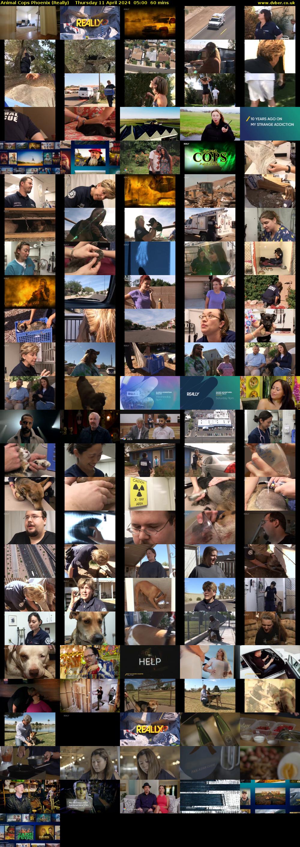 Animal Cops Phoenix (Really) Thursday 11 April 2024 05:00 - 06:00
